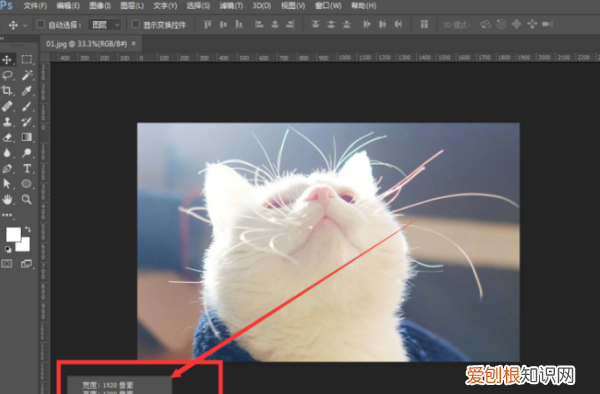 如何查看画布大小,ai怎样才可以查看画布的大小尺寸