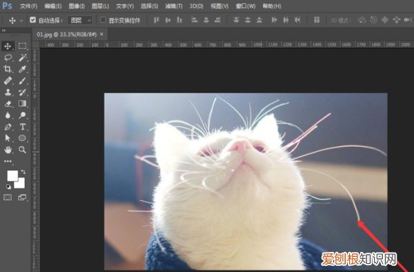 如何查看画布大小,ai怎样才可以查看画布的大小尺寸