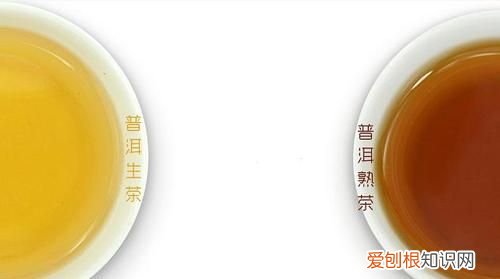 普洱生茶和熟茶的区别，生茶和熟茶的冲泡区别