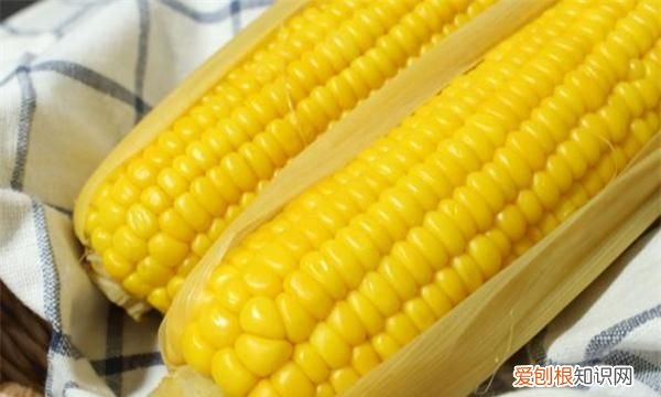 玉米的热量,黑色的玉米跟其他颜色的玉米哪个热量高