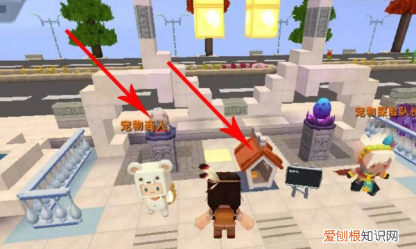 迷你世界宠物小泡沫怎么取消跟随