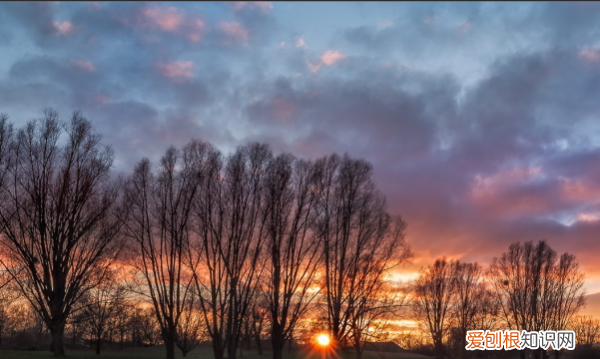 ps怎么做五角星图案，ps里怎么画五角星图案