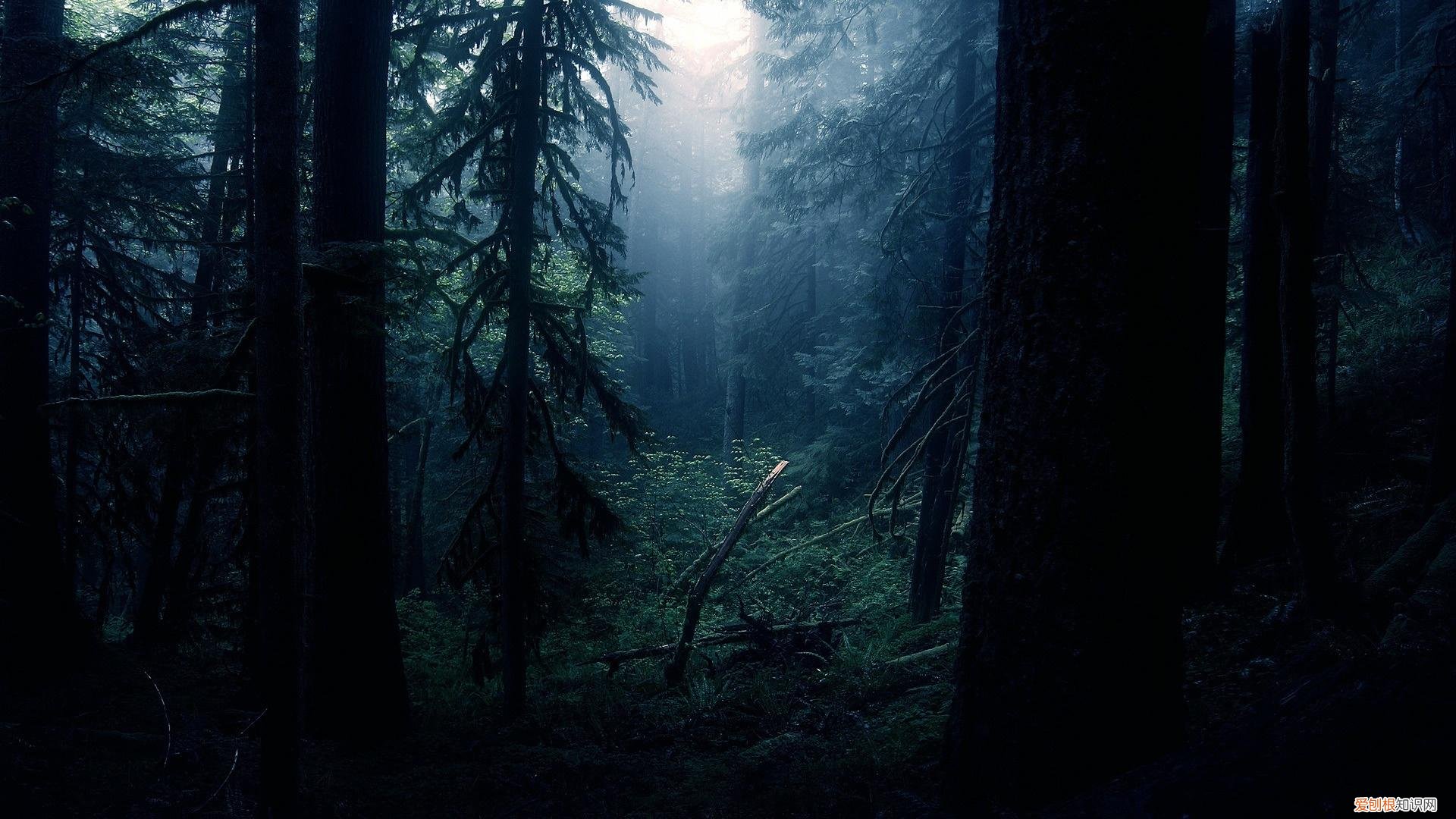 博登湖在德国哪个州