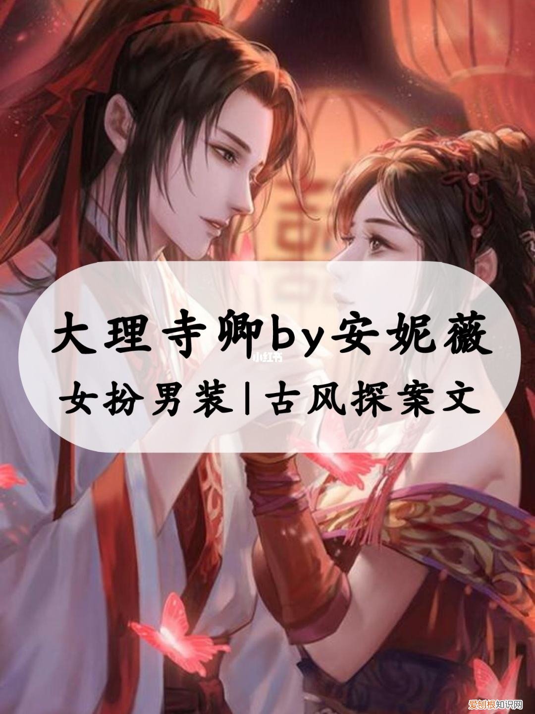 大理寺卿安妮薇笔趣阁全破案古言，林晚卿女扮男装当官成了苏陌忆的情劫)