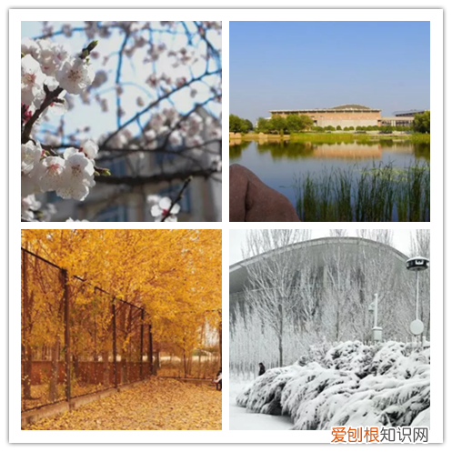 沈阳理工大学图书馆