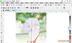 cdr中透明度如何调，cdr中的透明度快捷键是什么