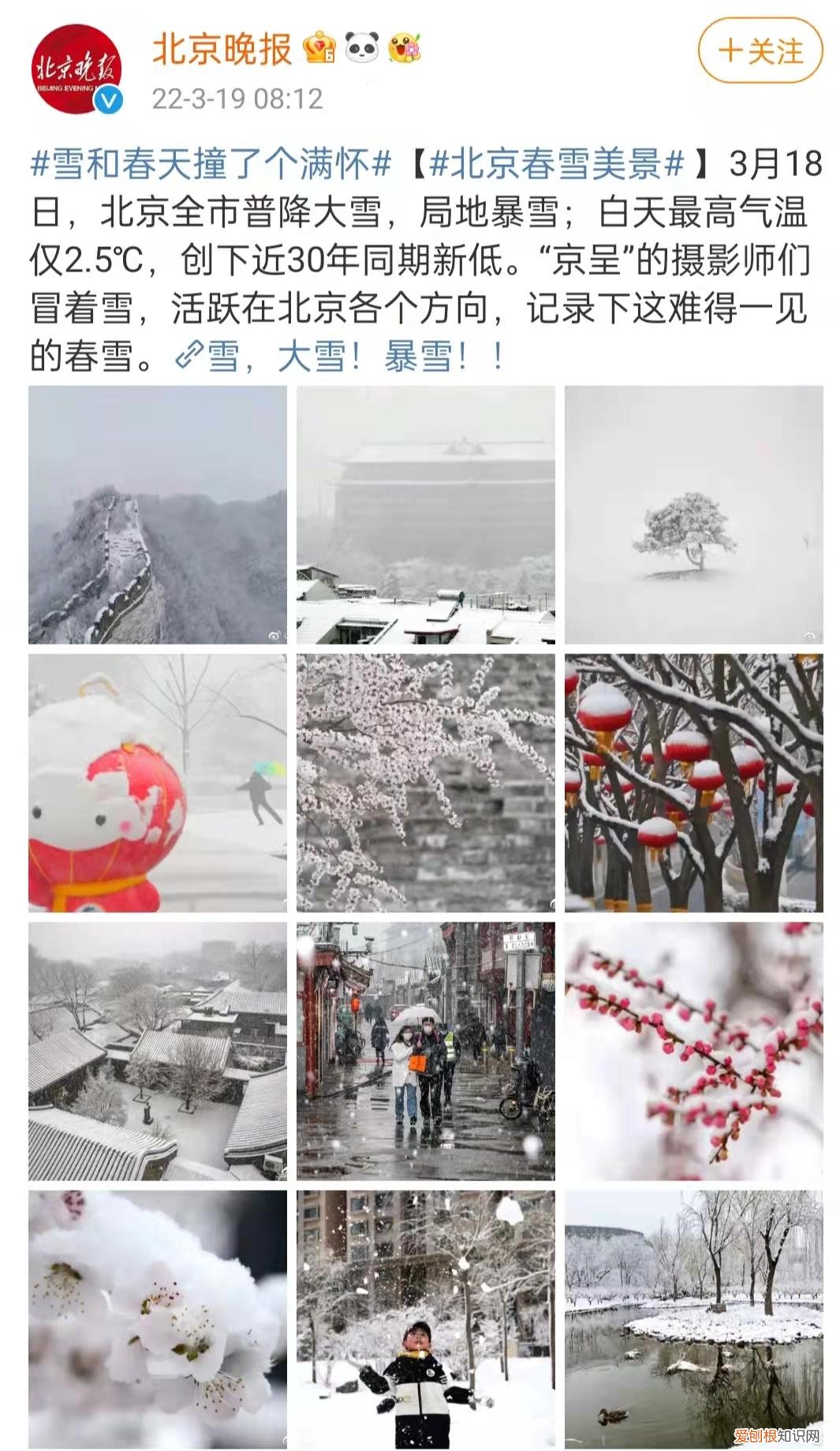 毛毛球怎么做手工