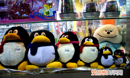 QQ注册失败怎么办，手机qq注册不了怎么办新用户