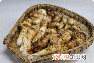 松茸怎么保存，鲜松茸怎么保存