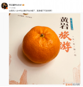 黄岩蜜桔产地在哪里