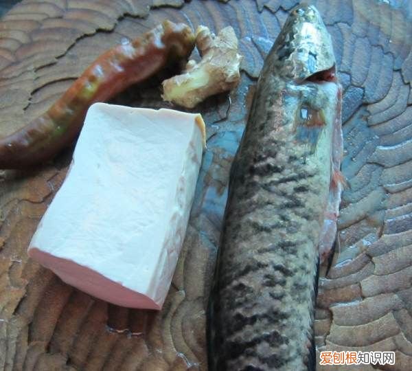 财鱼汤的做法，财鱼的做法大全家常菜