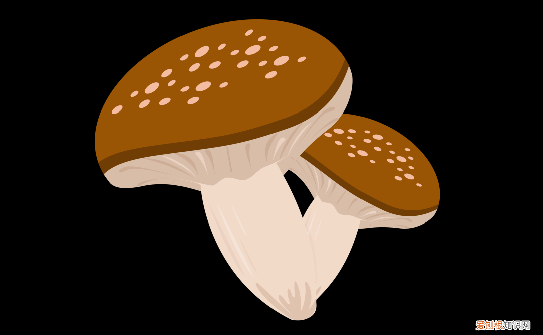 双氧水洗耳朵正确方法