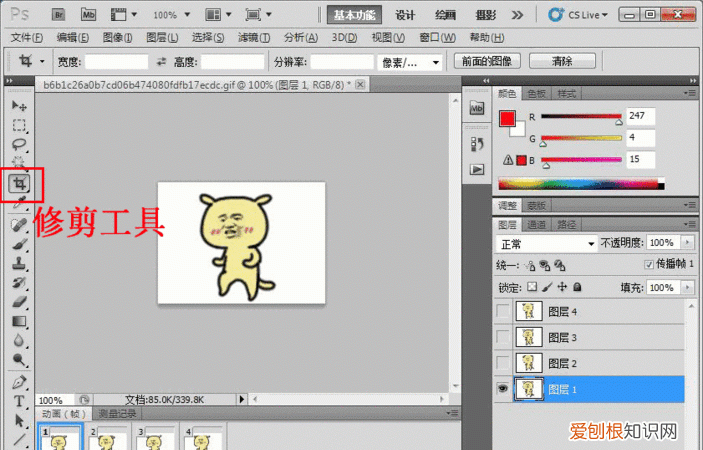 PS该怎么才可以导出GIF格式的动图