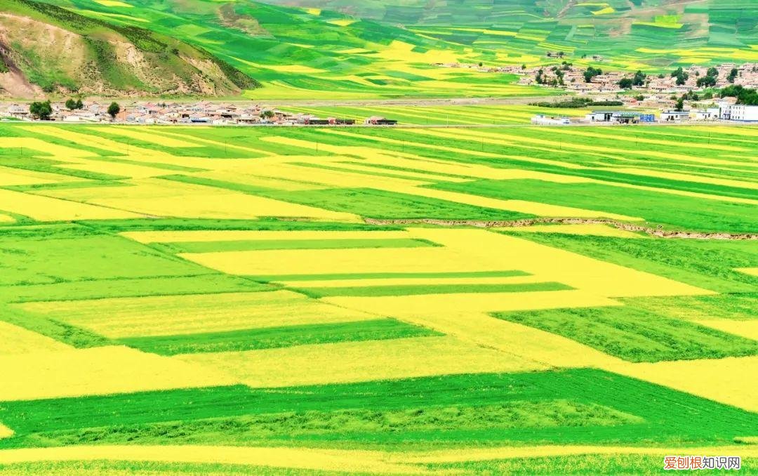 描写春天的古诗30首