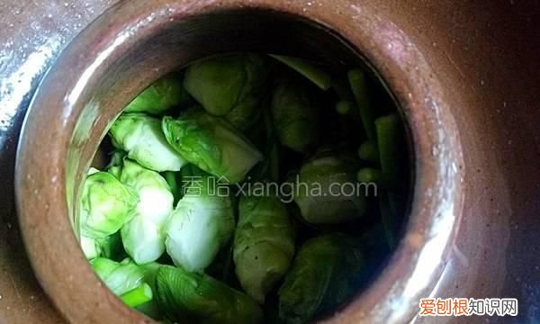 家庭版泡菜萝卜做法 家庭版泡菜