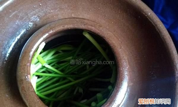 家庭版泡菜萝卜做法 家庭版泡菜