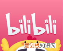 如何在哔哩哔哩实名认证，哔哩哔哩实名认证需要身份证吗