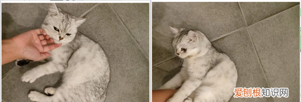 如何把两张照片合成一张