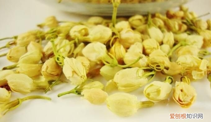 喝茉莉茶的好处,喝茉莉茶有什么功效