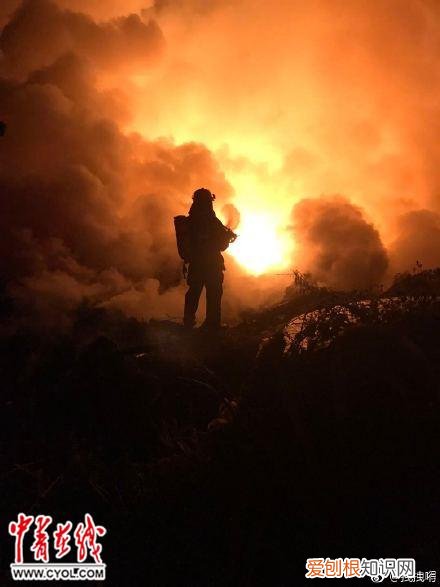 ca4303航班实时动态