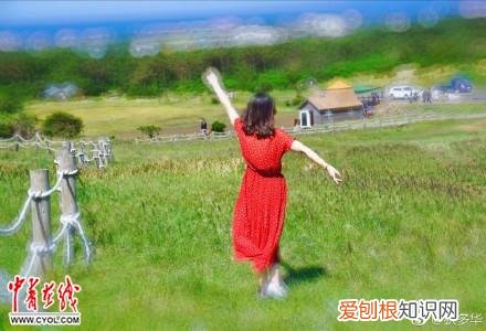 ca4303航班实时动态