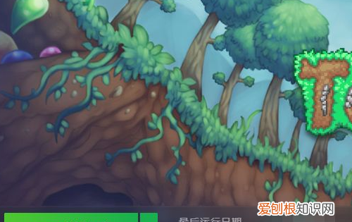 泰拉瑞亚画面大小怎么设置,为什么我的泰拉瑞亚没有职业