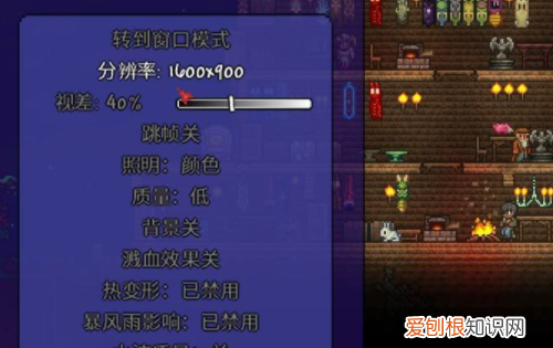 泰拉瑞亚画面大小怎么设置,为什么我的泰拉瑞亚没有职业