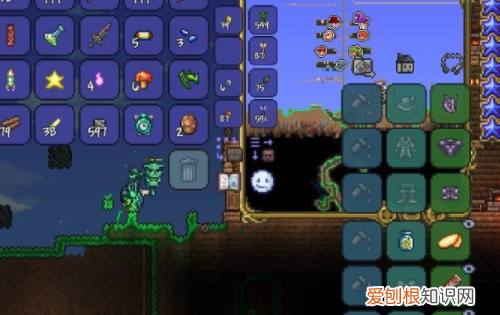 泰拉瑞亚画面大小怎么设置,为什么我的泰拉瑞亚没有职业