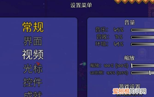 泰拉瑞亚画面大小怎么设置,为什么我的泰拉瑞亚没有职业