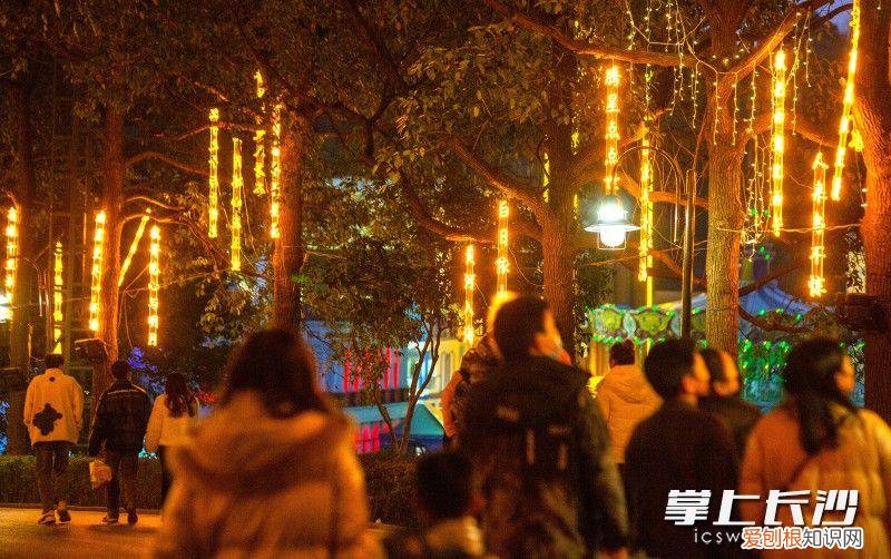 长沙世界之窗门票价格