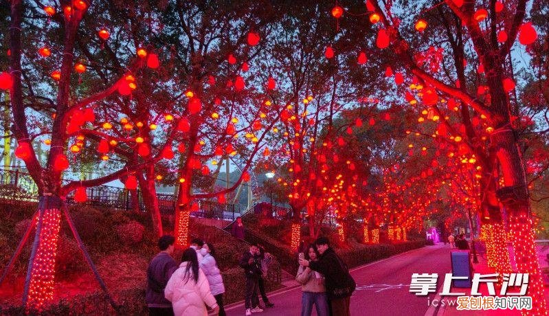 长沙世界之窗门票价格