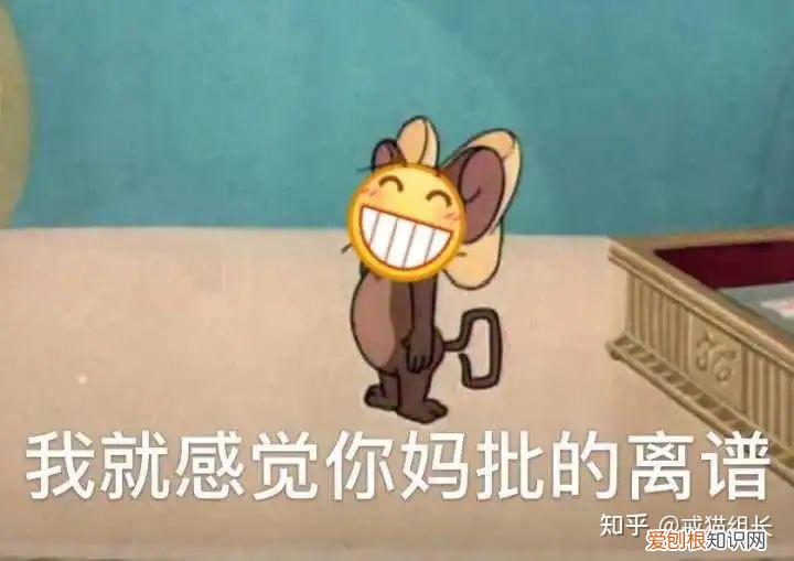 主食罐头和零食罐头的区别