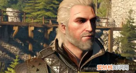 兀要如何打出,巫师3致命阴谋完美结局攻略