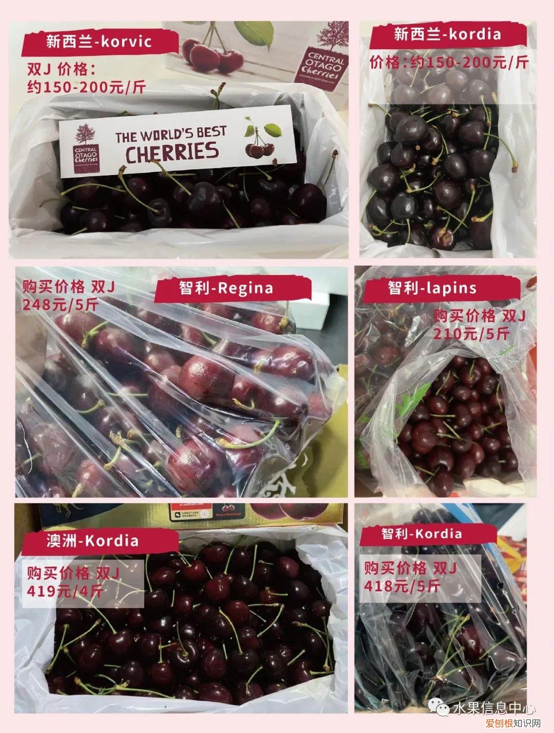 车厘子品种排名前十