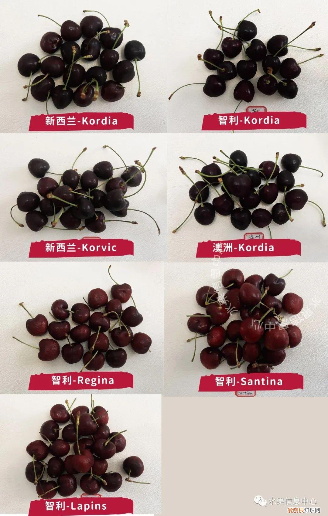 车厘子品种排名前十