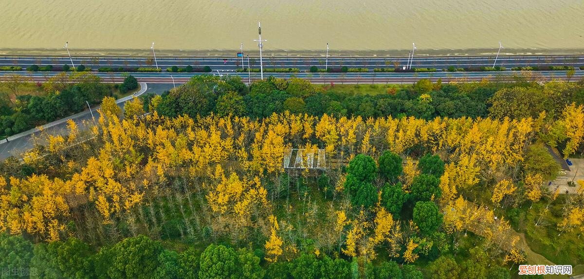 作文秋天的景色