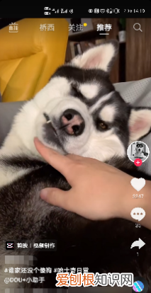 抖音如何获得微信登录的权限,抖音怎么授权微信登录权限失败