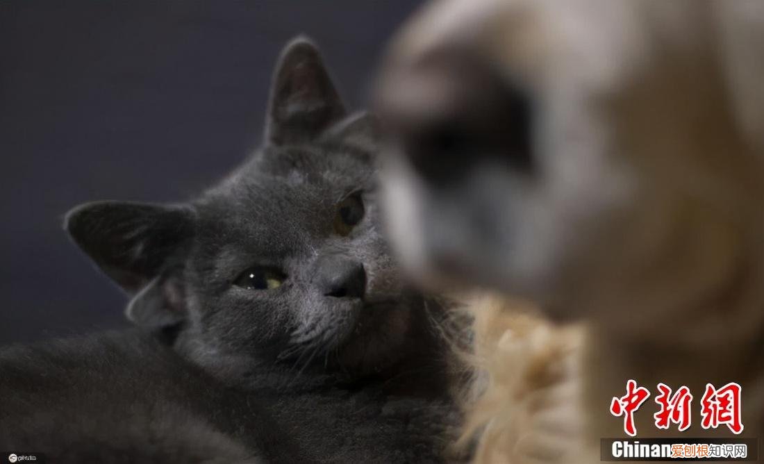 有耳能听到,有口能请教,有心就烦恼