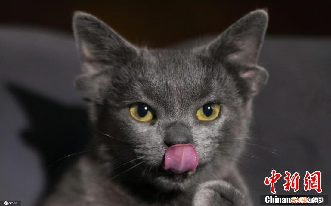 有耳能听到,有口能请教,有心就烦恼