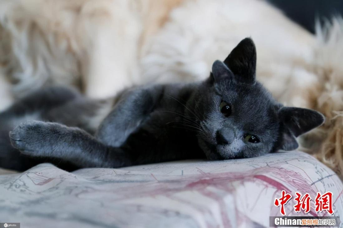 有耳能听到,有口能请教,有心就烦恼