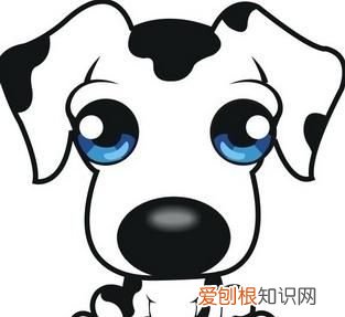 梦见被狗咬象征什么及怎么应对,梦见被狗咬什么预兆如何能破