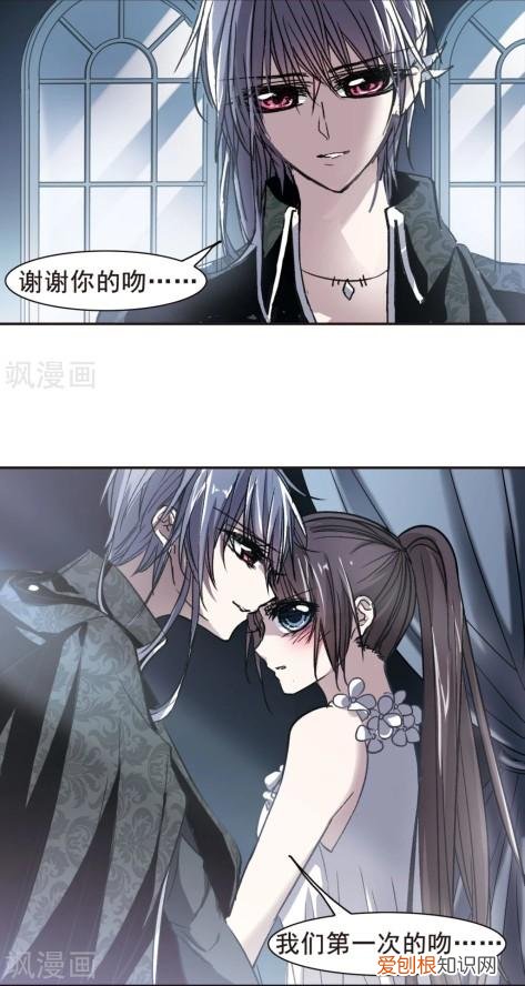 吸血鬼之吻月季