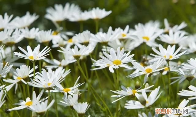 一段看透人心的话心酸