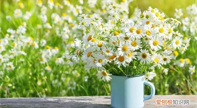 一段看透人心的话心酸