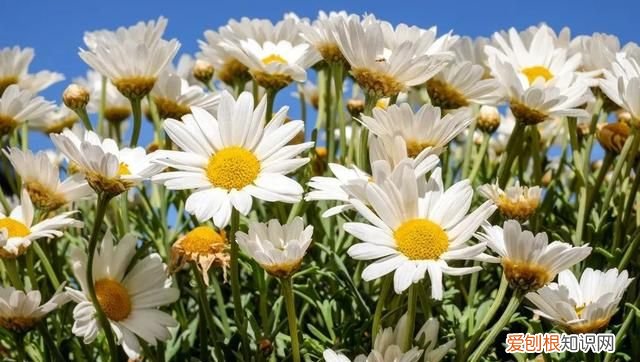 一段看透人心的话心酸