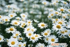 一段看透人心的话心酸