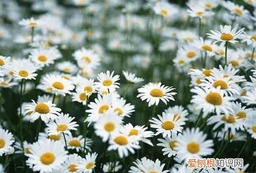 一段看透人心的话心酸