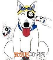 《家有小贱》by我的小q,盘点那些重刷三观怀疑人生的动漫