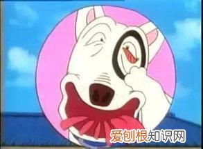 《家有小贱》by我的小q,盘点那些重刷三观怀疑人生的动漫