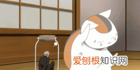 《家有小贱》by我的小q,盘点那些重刷三观怀疑人生的动漫